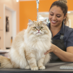 Best Cat Groomers in Atlanta, GA 2026: Top Services, Prices & Mobile Options — HeiBob