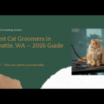 Best Cat Groomers in Seattle, WA 2026 Guide — HeiBob