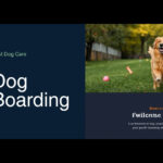 Best Dog Boarding in Portland, OR (2026) — HeiBob