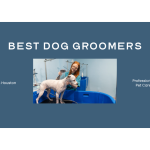 Best Dog Groomers in Houston TX 2026 — HeiBob