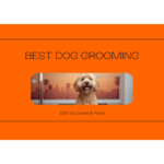 Best Dog Grooming in Los Angeles, CA (2026): Top Salons & Prices — HeiBob