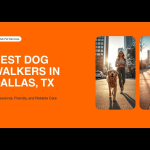 Best Dog Walkers in Dallas, TX 2026 — HeiBob
