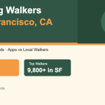 Best Dog Walkers in San Francisco, CA (2026) — Professional dog walker with golden retriever on SF street — HeiBob