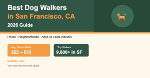 Best Dog Walkers in San Francisco, CA (2026) — Professional dog walker with golden retriever on SF street — HeiBob