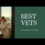 Best Veterinarians in Denver, CO — 2026 Guide | HeiBob
