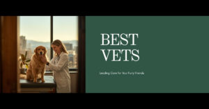 Best Veterinarians in Denver, CO — 2026 Guide | HeiBob