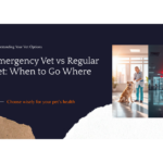Emergency Vet vs Regular Vet: When to Go Where in 2026 — HeiBob