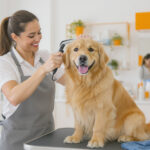 Pet Grooming Services: The Ultimate Guide for Every Pet Owner (2026) — HeiBob