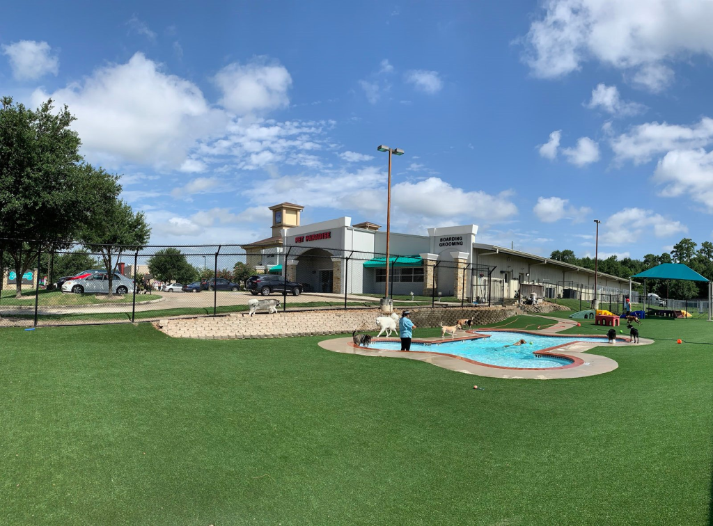 pet paradise houston will clayton 1024x756