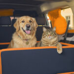 Pet Transport Services: Everything You Need to Know (2026 Guide) — HeiBob