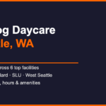 Best Dog Daycare in Seattle, WA 2026 — HeiBob