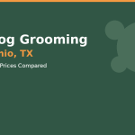Best Dog Grooming in San Antonio, TX (2026): Salons, Mobile & Prices Compared — HeiBob
