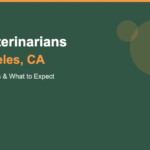 Best Veterinarians in Los Angeles, CA (2026) — HeiBob
