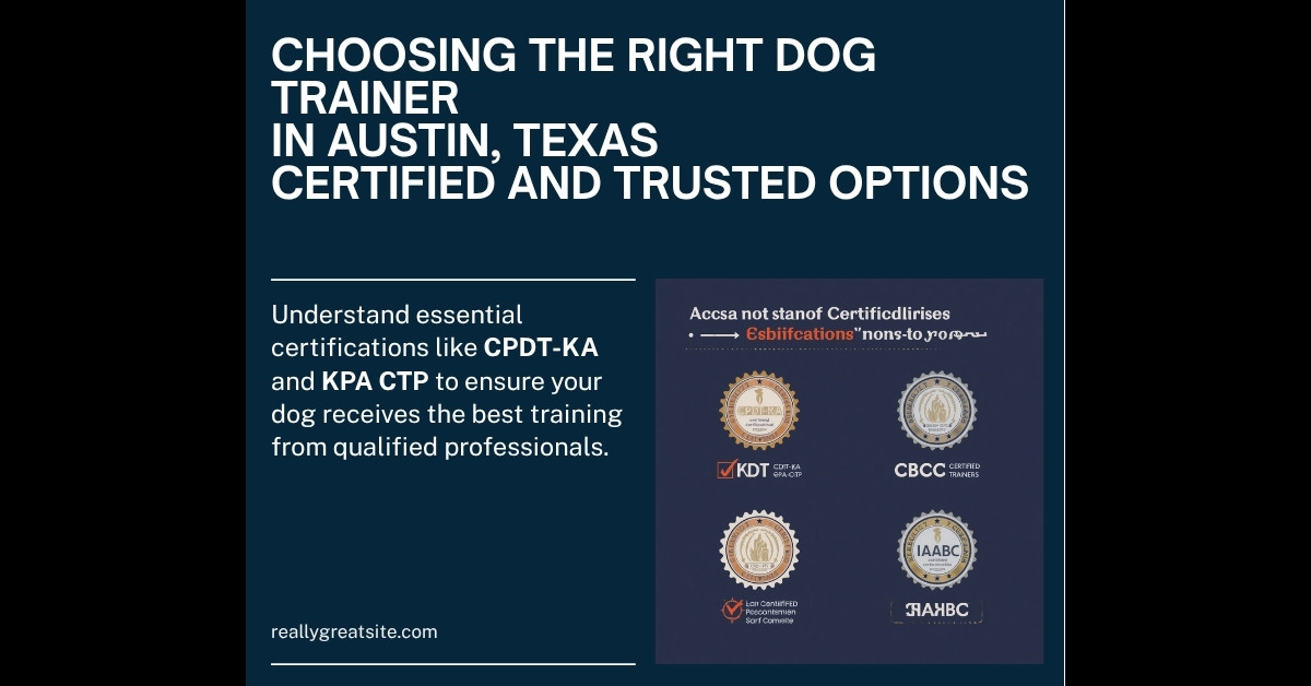Dog trainer certifications guide for Austin TX — HeiBob