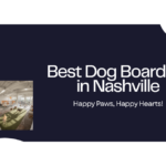 Best Dog Boarding in Nashville, TN (2026) — HeiBob