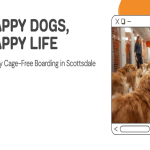 Best Dog Boarding in Scottsdale, AZ (2026): Top Kennels, Cage-Free Resorts & Prices — HeiBob