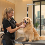 Best Dog Groomers in Chicago IL 2026 — HeiBob