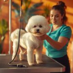 Best Dog Groomers in Miami, FL (2026): Top Salons, Mobile Services & Prices — HeiBob