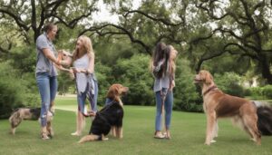 Best Dog Trainers in Houston TX 2026 — HeiBob