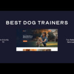 Best Dog Trainers in San Antonio, TX (2026) — HeiBob