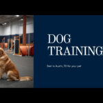 Best Dog Training in Austin, TX (2026): Top Trainers, Classes & Prices — HeiBob