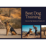 Best Dog Training in Phoenix, AZ (2026) — HeiBob