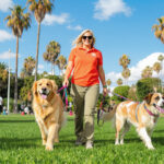 Best Dog Walkers in Los Angeles, CA (2026) — HeiBob