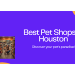 Best Pet Shops in Houston TX 2026 — HeiBob