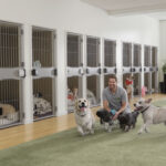 Dog boarding Philadelphia PA 2026 — HeiBob