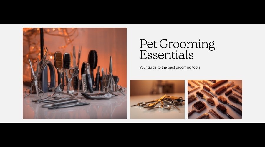 Professional pet grooming tools including scissors, clippers, brushes and nail trimmers