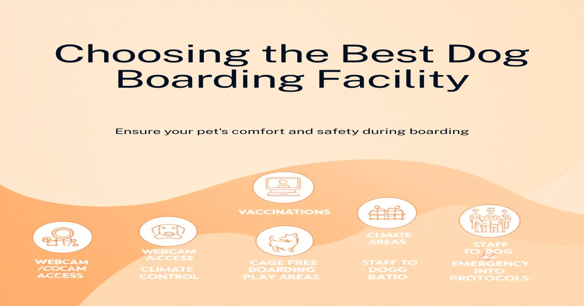 What to look for in a Scottsdale dog boarding facility — HeiBob checklist