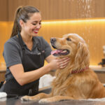 Ultimate Guide to Pet Grooming Services (2026): Types, Costs & What to Expect — HeiBob