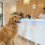 Best Dog Boarding in Indianapolis, IN (2026): Top Kennels, Prices & What to Expect — HeiBob