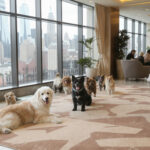 Best Dog Boarding in New York City, NY (2026) — HeiBob