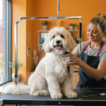 Best Dog Groomers in Seattle, WA (2026): Top Salons, Mobile Services & Prices — HeiBob