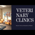 Best Veterinary Clinics in Phoenix, AZ (2026) — HeiBob
