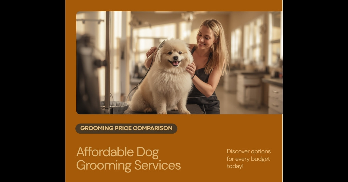 Professional dog grooming salon services and pricing