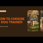 How to Choose a Dog Trainer: Complete Guide (2026) — HeiBob