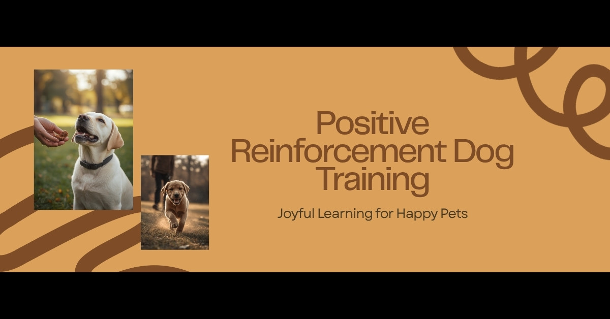 Dog trainer using positive reinforcement treats with a Labrador puppy — HeiBob