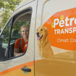 Pet Transport Services: Everything You Need to Know (2026) — HeiBob