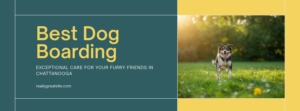 Best Dog Boarding in Chattanooga, TN (2026): Top Kennels, Prices & What to Expect — HeiBob