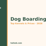 Best Dog Boarding in Minneapolis, MN (2026): Top Kennels, Prices & What to Expect