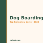 Best Dog Boarding in Phoenix, AZ (2026): Top Kennels, Prices & What to Expect