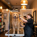 Best Dog Groomers in New Orleans, LA (2026): Top Salons, Mobile Services & Prices — HeiBob