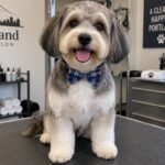 Best Dog Groomers in Raleigh, NC (2026): Top Picks, Prices & Reviews — HeiBob