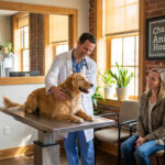 Best Veterinarians in Charlotte, NC (2026): Top Clinics, Prices & Emergency Care — HeiBob