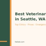 Best veterinarians in Seattle WA 2026 guide featured image
