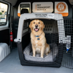 Pet Transport Services: Complete Guide to Costs, Types & Safe Travel (2026) — HeiBob