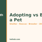 Adopting vs Buying a Pet (2026): Shelter, Rescue or Breeder — How to Choose