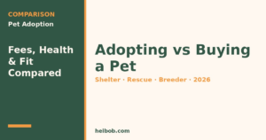 Adopting vs Buying a Pet (2026): Shelter, Rescue or Breeder — How to Choose